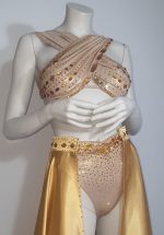 Gold Removable Skirt Costume